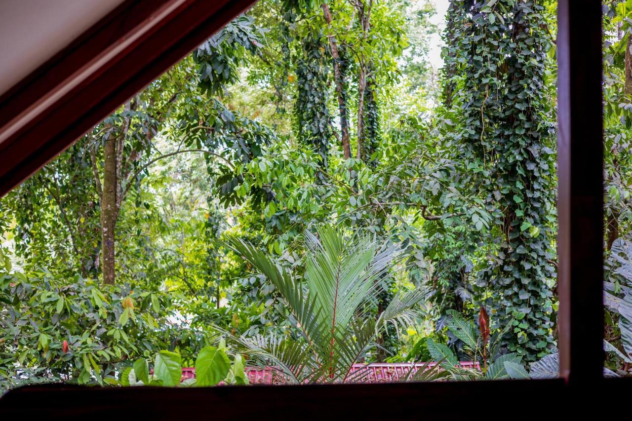 Namuwoki Lodge Puerto Viejo de Talamanca Exterior foto